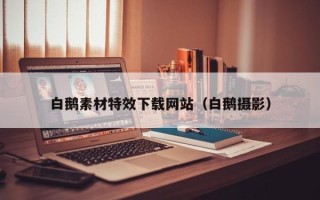 岳阳白鹅素材特效下载网站（白鹅摄影）
